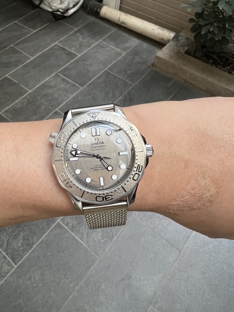 開箱分享 銀灰不鏽鋼面盤Seamaster 300海馬，醜帥的代表