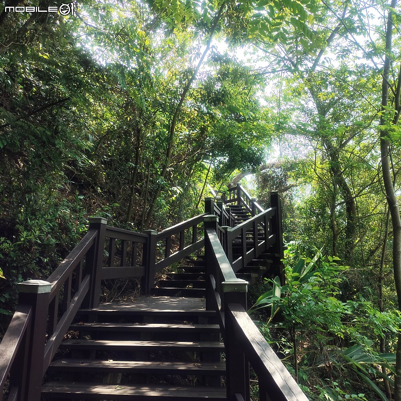 后里區鳳凰山步道+觀音山步道，竹林綠蔭豐富不怕曬的步道!