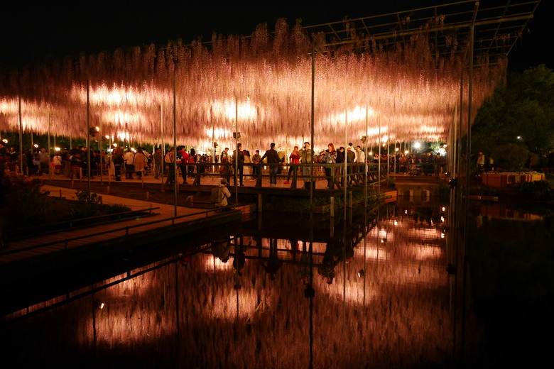 足利花卉公園