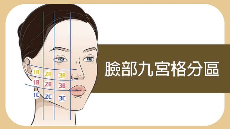 點我看大圖 多次拉皮效果不如預期?醫曝是「這原因」!解析全層次結構式拉皮特色及考量
