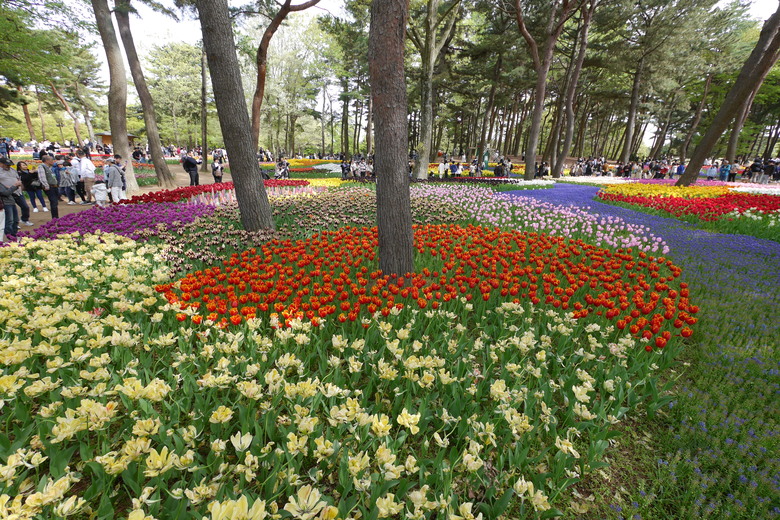 茨城縣 國營常陸海濱公園