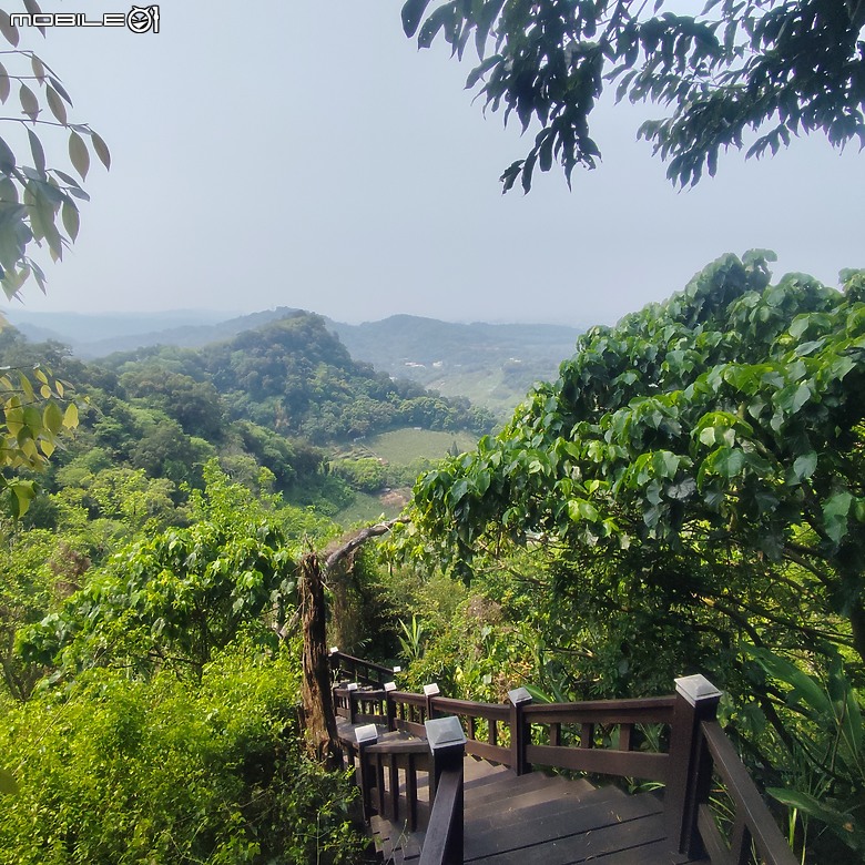 后里區鳳凰山步道+觀音山步道，竹林綠蔭豐富不怕曬的步道!