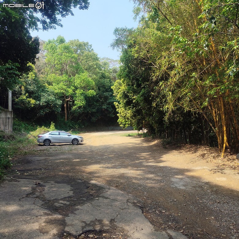 后里區鳳凰山步道+觀音山步道，竹林綠蔭豐富不怕曬的步道!