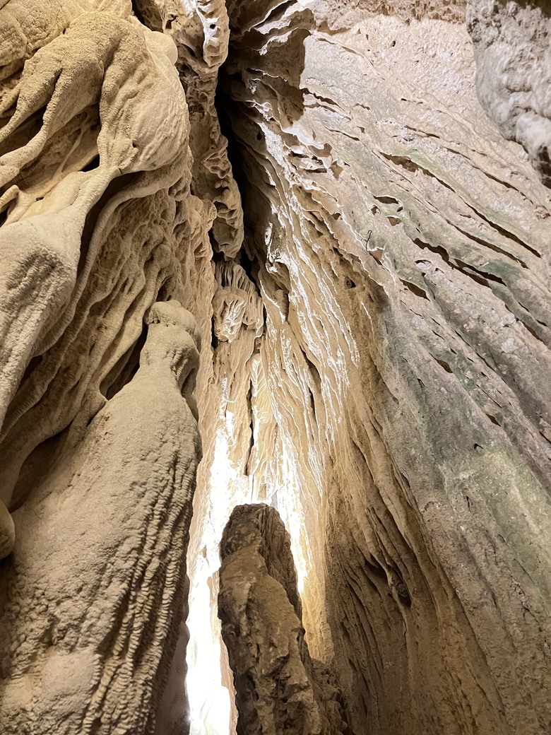 藏在最南點森林裡的龍穴與餐桌——墾丁國家森林遊樂區一日探險