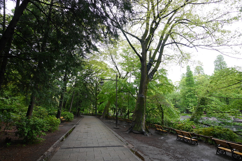 井之頭恩賜公園