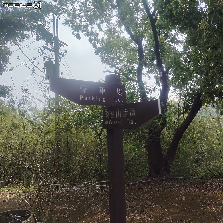 后里區鳳凰山步道+觀音山步道，竹林綠蔭豐富不怕曬的步道!