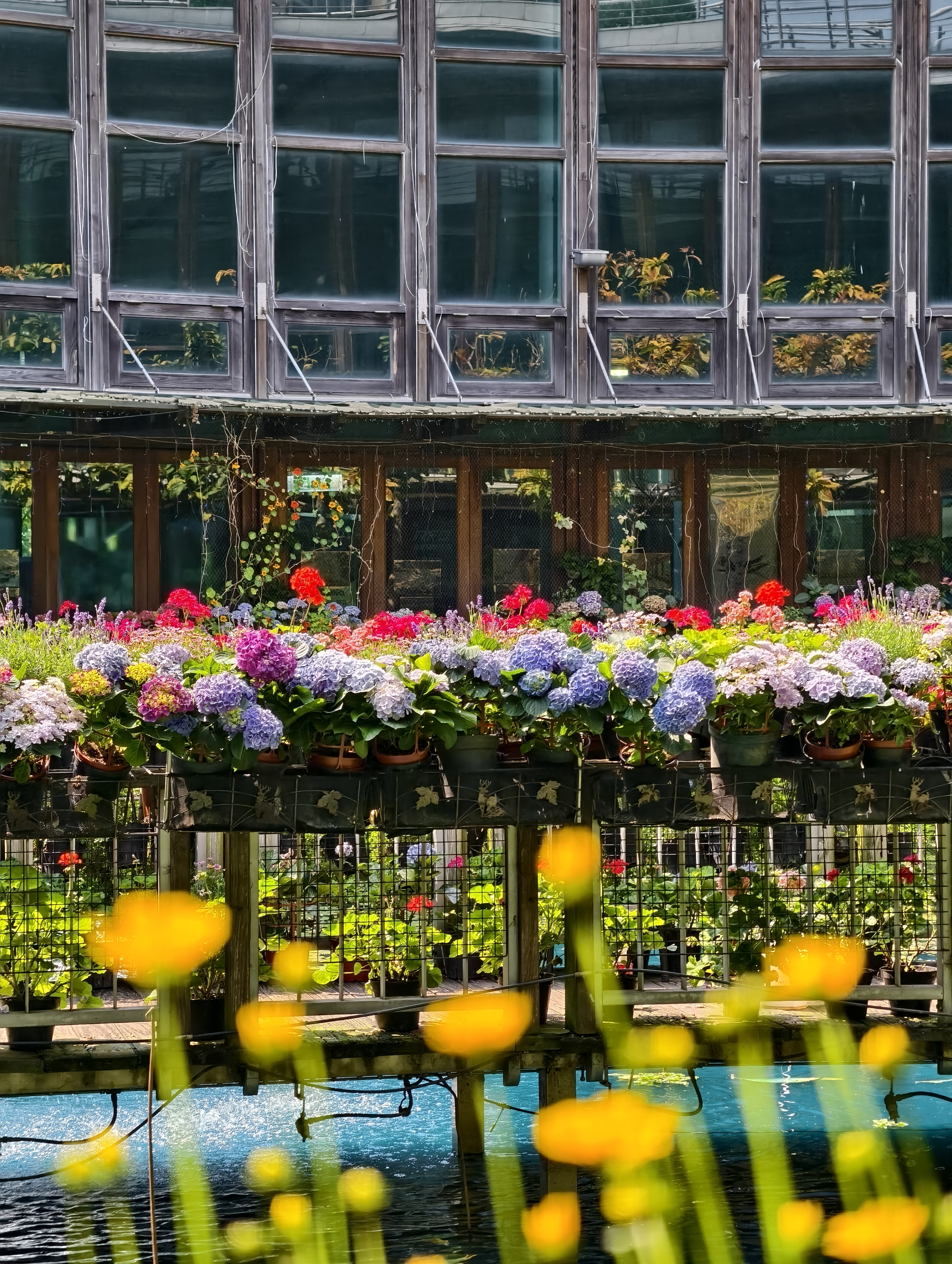 【台北市】花博公園新生園區 (玫瑰展、天使生活館、植物典藏館)
