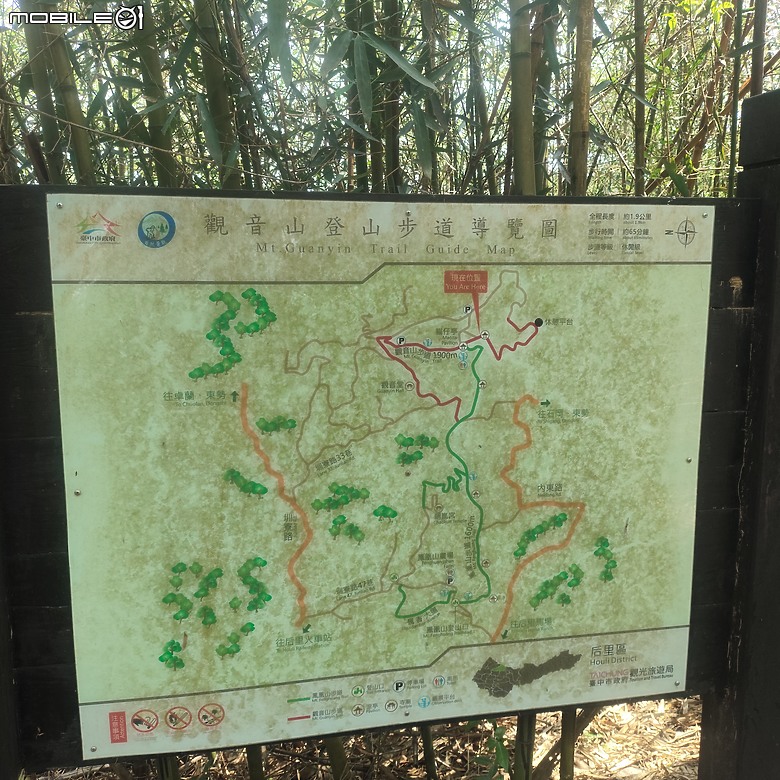 后里區鳳凰山步道+觀音山步道，竹林綠蔭豐富不怕曬的步道!