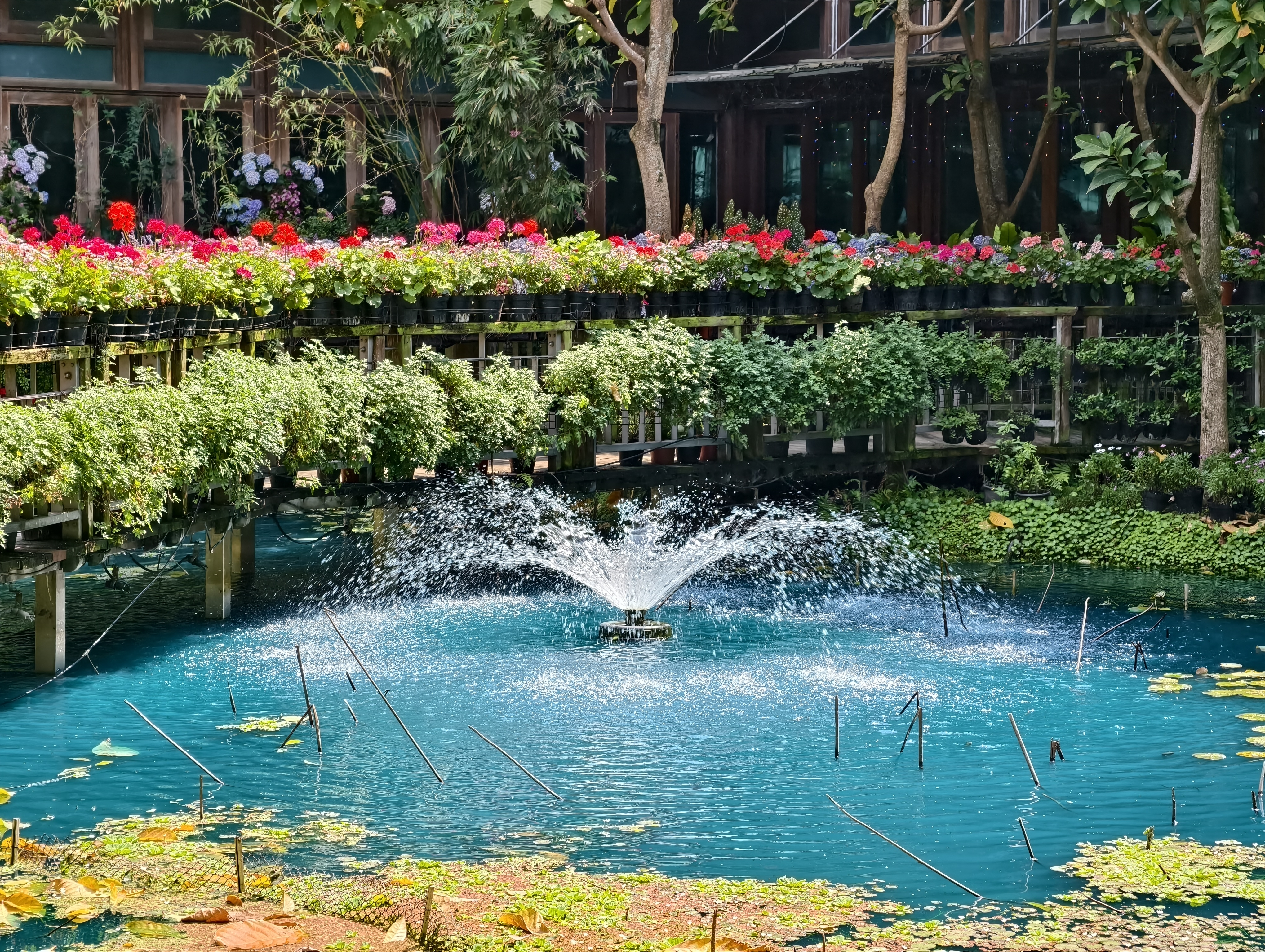 【台北市】花博公園新生園區 (玫瑰展、天使生活館、植物典藏館)
