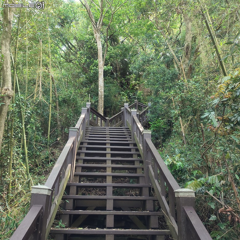 后里區鳳凰山步道+觀音山步道，竹林綠蔭豐富不怕曬的步道!