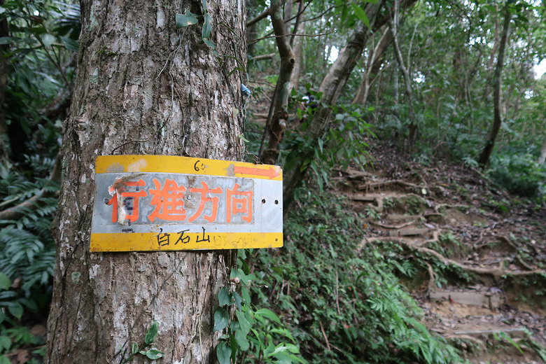 【打鐵寮古道.白石山 】桃園大溪一條充滿人文歷史的百年古道