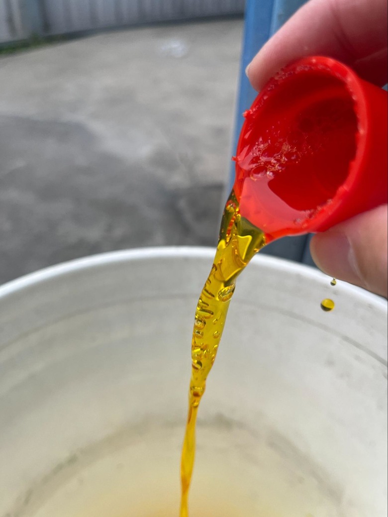從洗車到鍍膜，Sonax石英鍍膜全過程分享