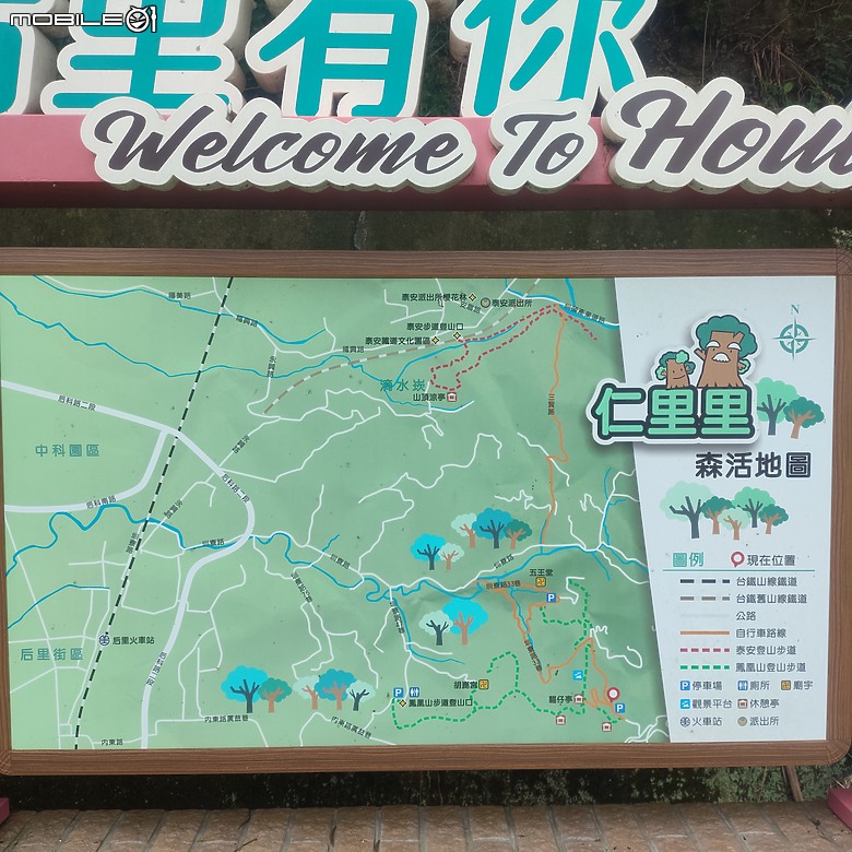 后里區鳳凰山步道+觀音山步道，竹林綠蔭豐富不怕曬的步道!