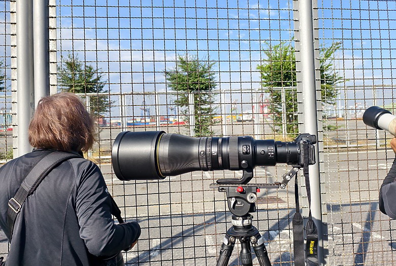 點我看大圖 Nikon Z5II紀錄淡色型和暗色型岩鷺親鳥育雛三隻幼鳥,和高字塔黃腹山雀,最難得三仙台拍到松鴉。