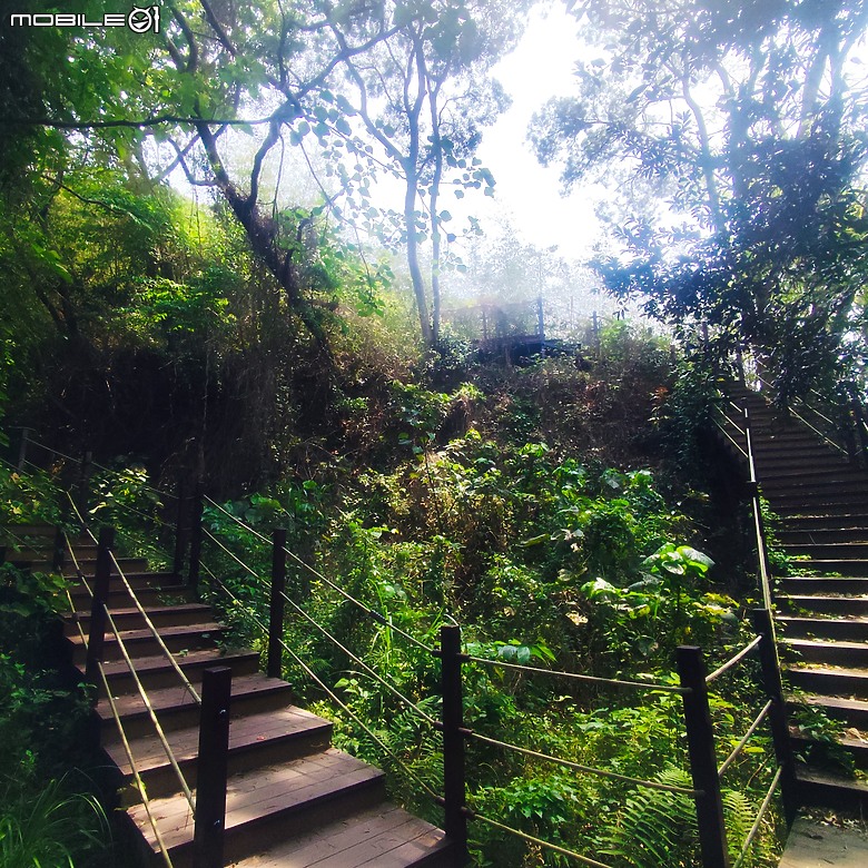 后里區鳳凰山步道+觀音山步道，竹林綠蔭豐富不怕曬的步道!