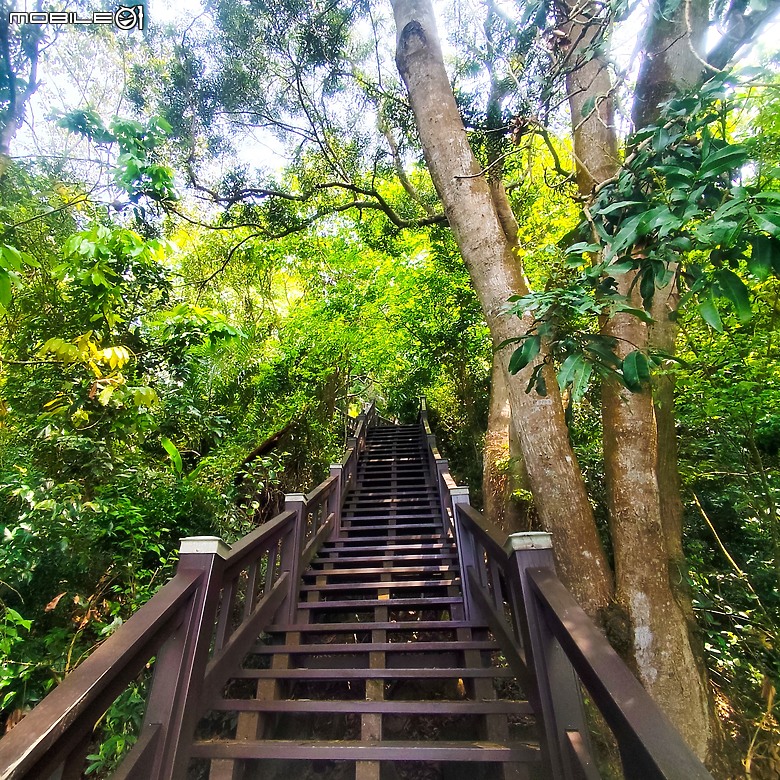 后里區鳳凰山步道+觀音山步道，竹林綠蔭豐富不怕曬的步道!