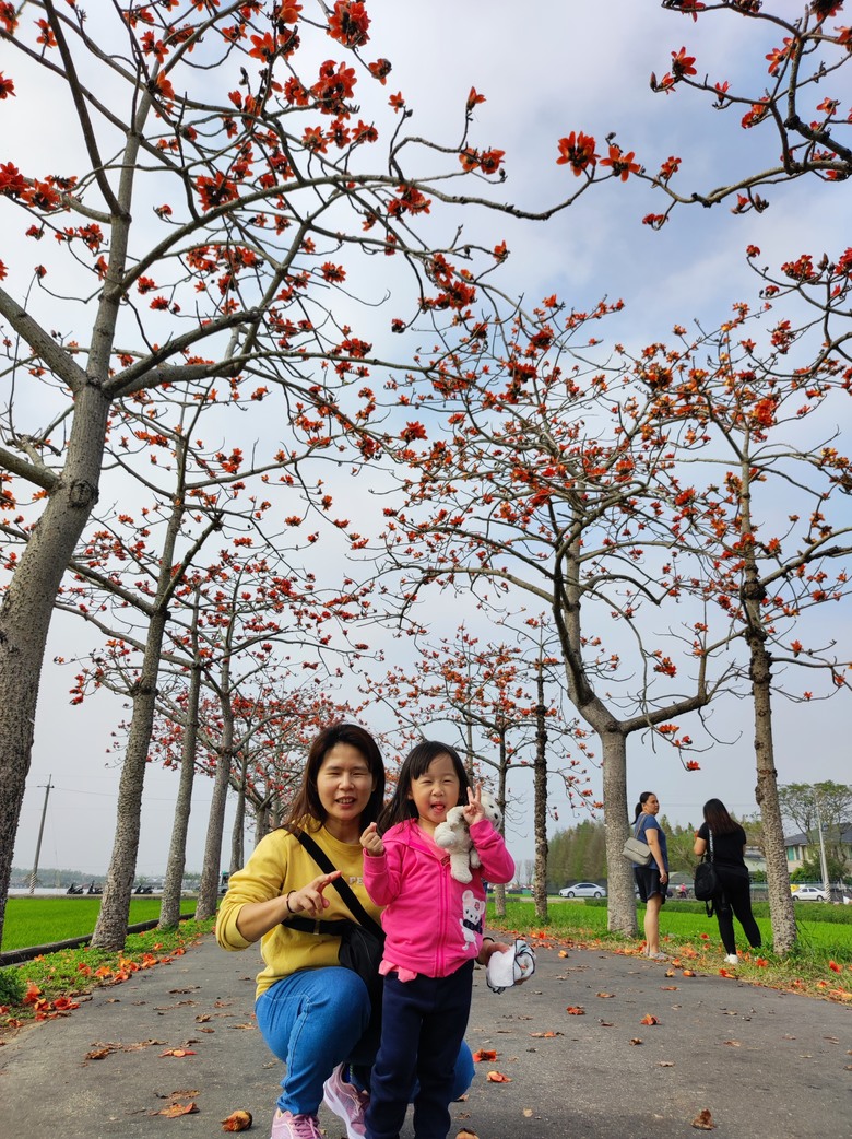 2025年，嘉南，小小孩的騎旅，日不落木棉花道^_^