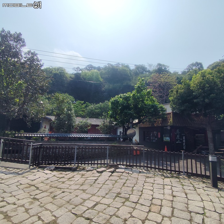 后里區鳳凰山步道+觀音山步道，竹林綠蔭豐富不怕曬的步道!