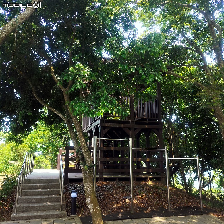后里區鳳凰山步道+觀音山步道，竹林綠蔭豐富不怕曬的步道!
