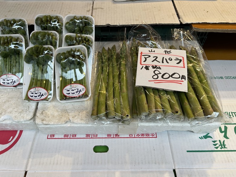 仙台第五日，山朱萸，榴岡公園