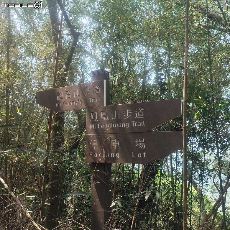 后里區鳳凰山步道+觀音山步道，竹林綠蔭豐富不怕曬的步道!
