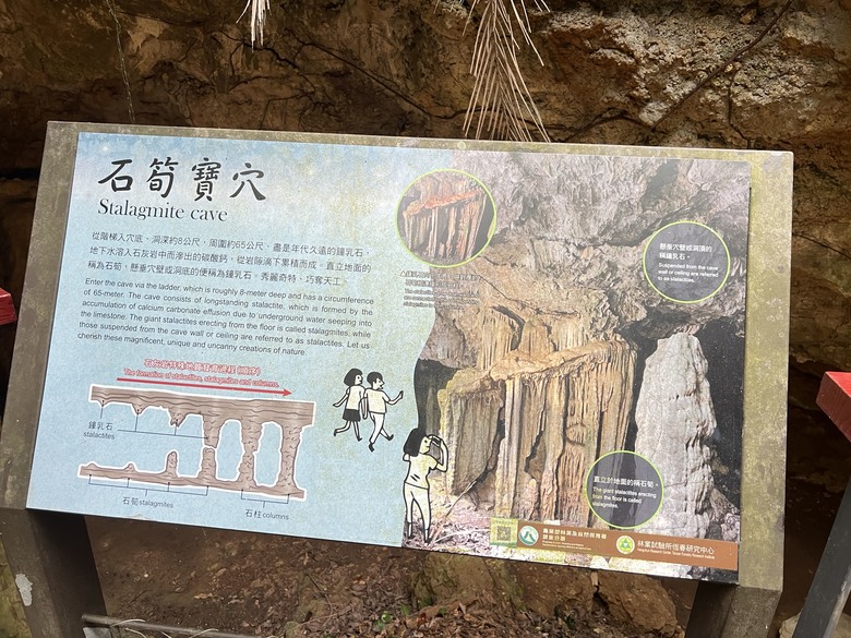 藏在最南點森林裡的龍穴與餐桌——墾丁國家森林遊樂區一日探險