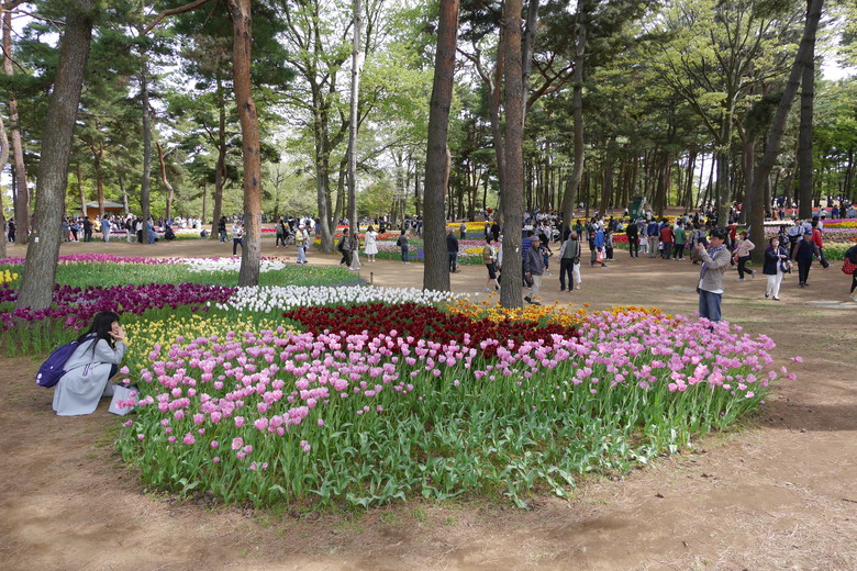 茨城縣 國營常陸海濱公園