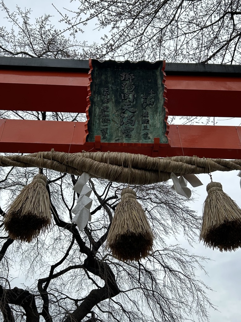 仙台第五日，山朱萸，榴岡公園