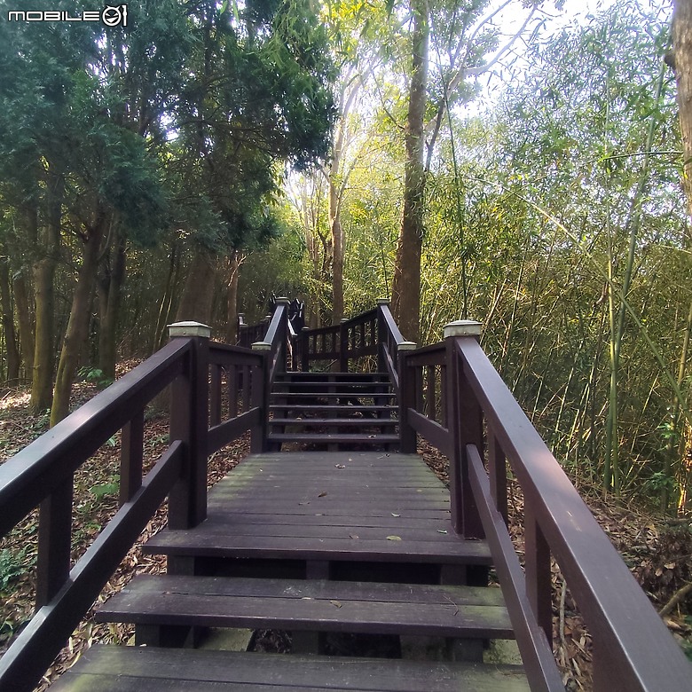 后里區鳳凰山步道+觀音山步道，竹林綠蔭豐富不怕曬的步道!