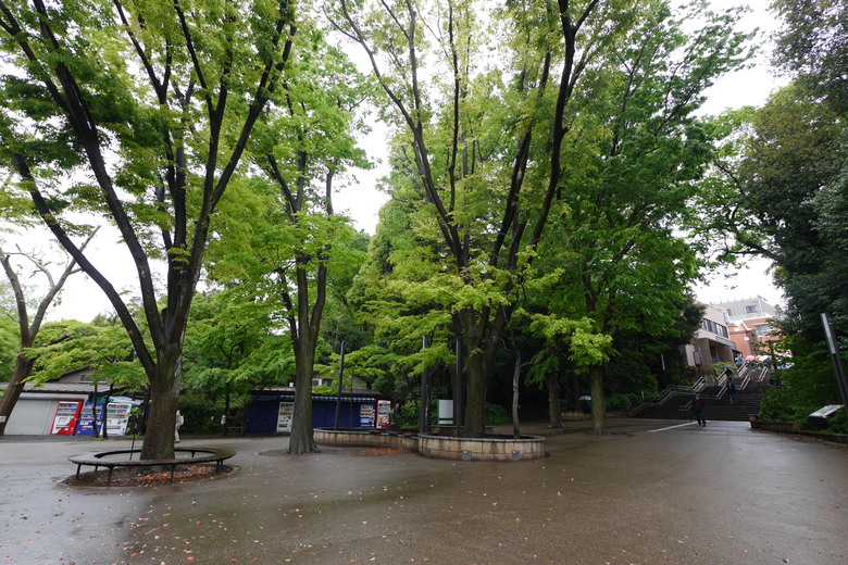 井之頭恩賜公園