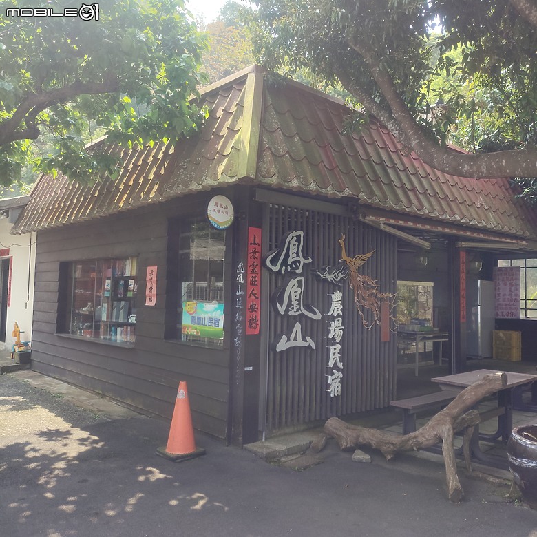 后里區鳳凰山步道+觀音山步道，竹林綠蔭豐富不怕曬的步道!