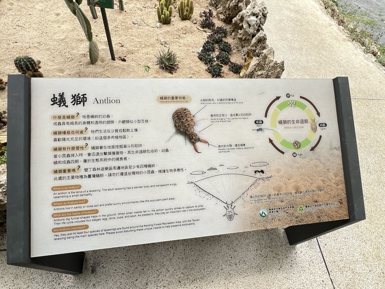 藏在最南點森林裡的龍穴與餐桌——墾丁國家森林遊樂區一日探險