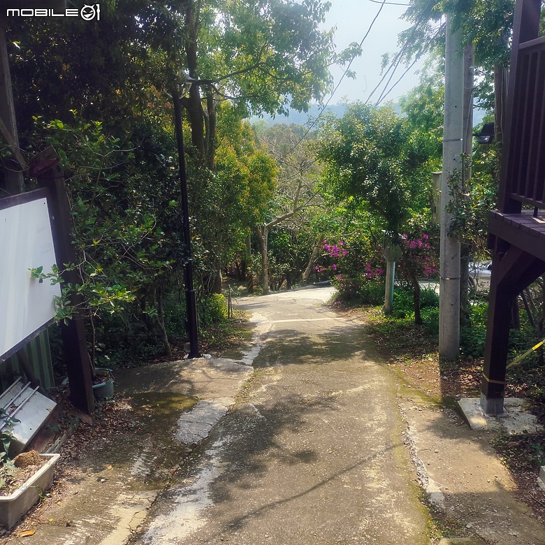 后里區鳳凰山步道+觀音山步道，竹林綠蔭豐富不怕曬的步道!