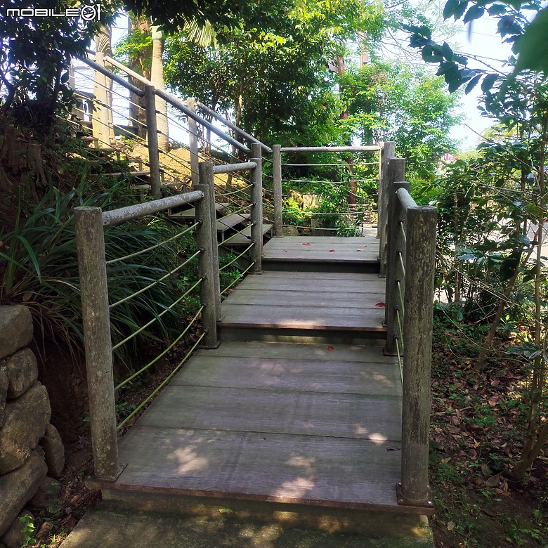 后里區鳳凰山步道+觀音山步道，竹林綠蔭豐富不怕曬的步道!