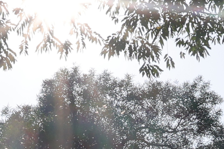 Sigma 16-300mm f/3.5-6.7 DC OS Contemporary 評測報告｜當今 APS-C 旅遊鏡首選！