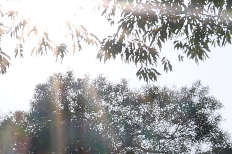 Sigma 16-300mm f/3.5-6.7 DC OS Contemporary 評測報告｜當今 APS-C 旅遊鏡首選！