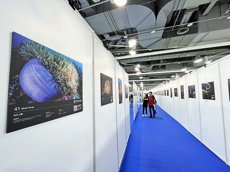 (映像分享) 逛逛潛水展正式開啟今年的潛水旅行in台北市 feat. DRT 潛水展