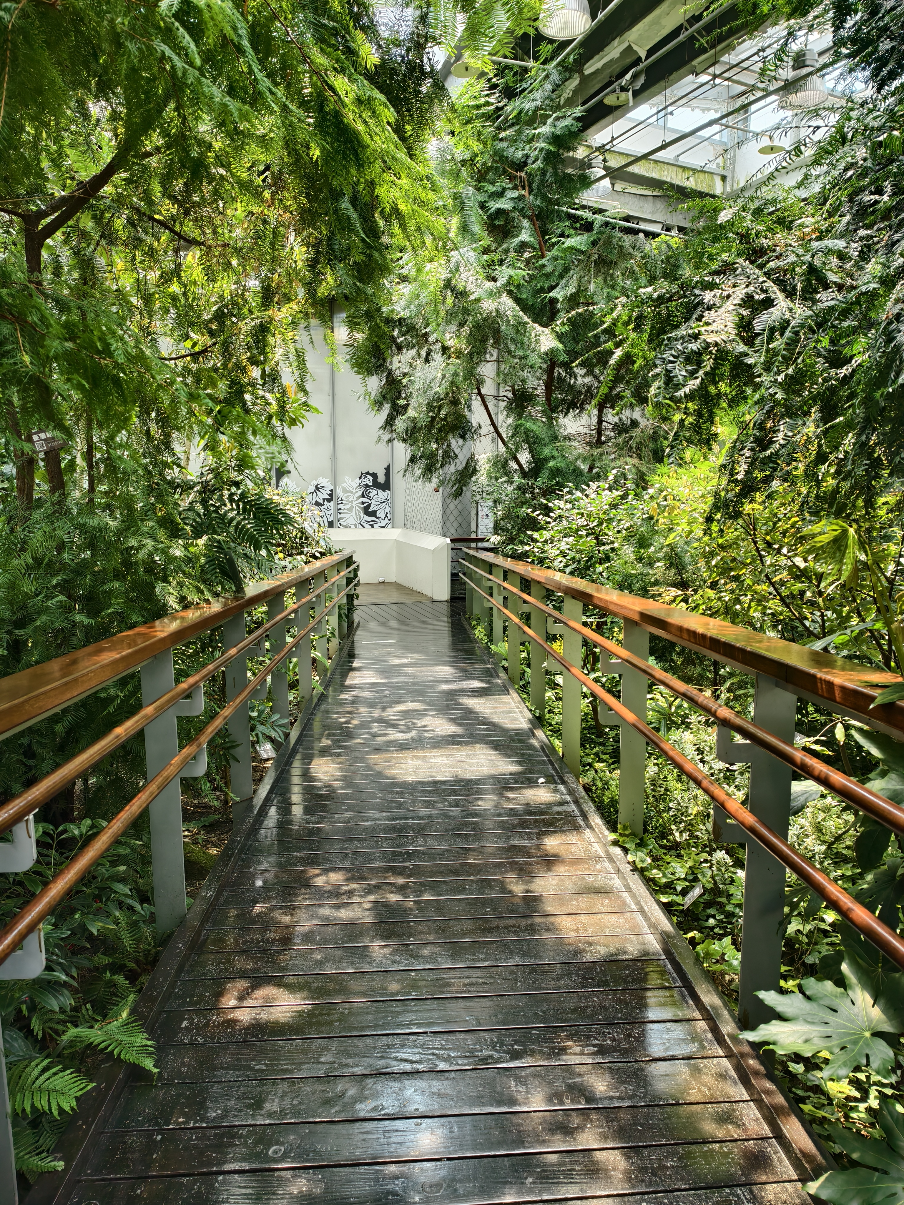 【台北市】花博公園新生園區 (玫瑰展、天使生活館、植物典藏館)