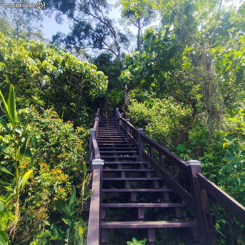 后里區鳳凰山步道+觀音山步道，竹林綠蔭豐富不怕曬的步道!