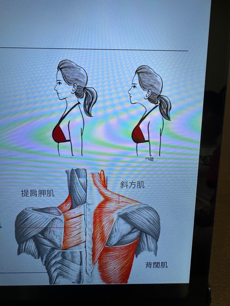 【心得】腰痠背痛去看醫生才知道問題在床？分享我的試躺歷程