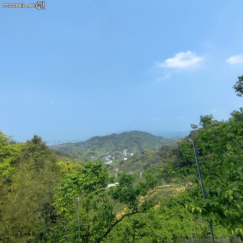 后里區鳳凰山步道+觀音山步道，竹林綠蔭豐富不怕曬的步道!