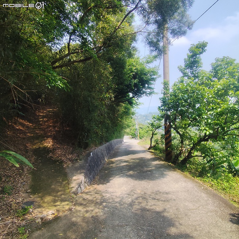 后里區鳳凰山步道+觀音山步道，竹林綠蔭豐富不怕曬的步道!