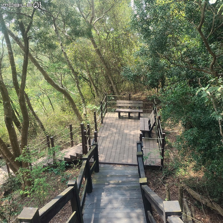 后里區鳳凰山步道+觀音山步道，竹林綠蔭豐富不怕曬的步道!