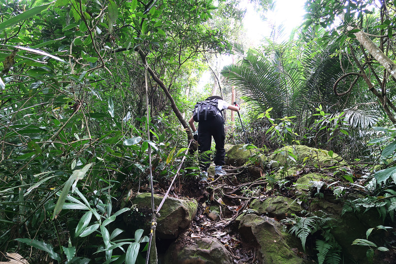 【打鐵寮古道.白石山 】桃園大溪一條充滿人文歷史的百年古道