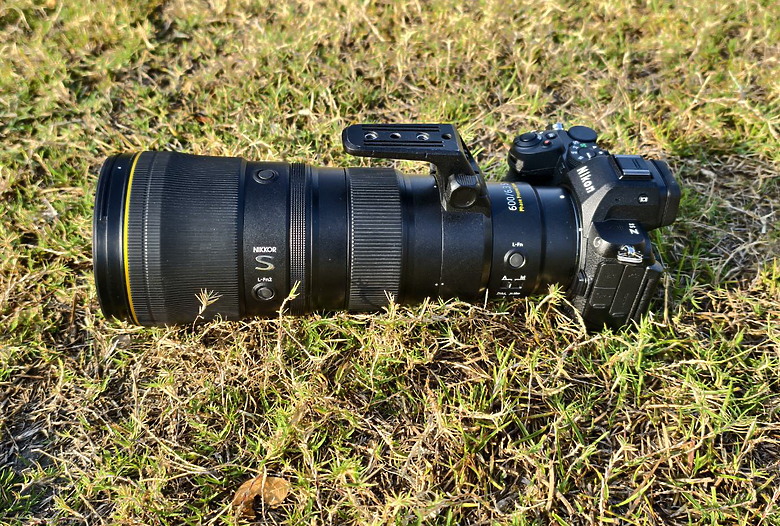點我看大圖 Nikon Z5II紀錄淡色型和暗色型岩鷺親鳥育雛三隻幼鳥,和高字塔黃腹山雀,最難得三仙台拍到松鴉。