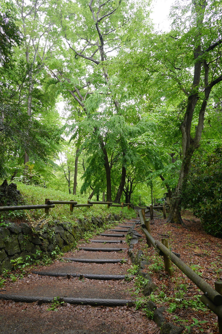 井之頭恩賜公園
