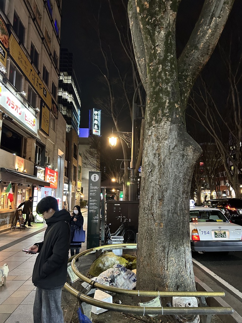 仙台自由行1st; 227 cafe；定禪寺通林蔭大道；青葉通一番町