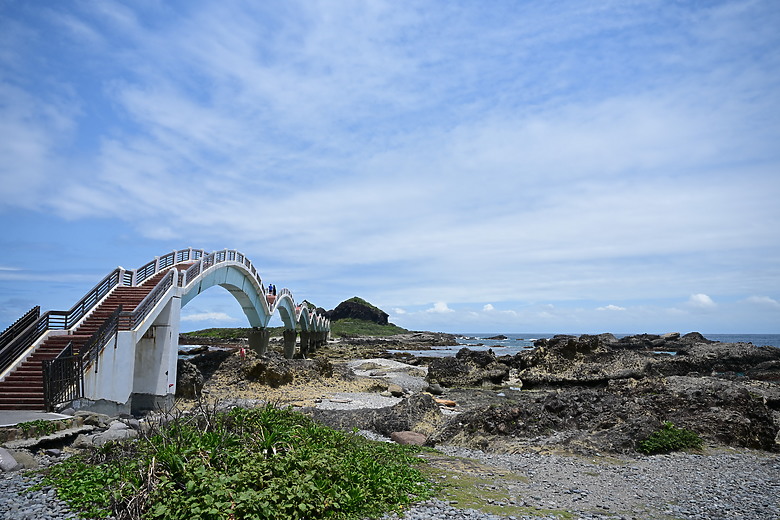 點我看大圖 Nikon Z5II紀錄淡色型和暗色型岩鷺親鳥育雛三隻幼鳥,和高字塔黃腹山雀,最難得三仙台拍到松鴉。