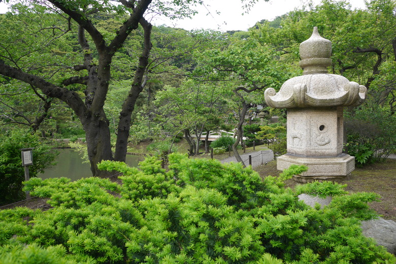 一般觀光客不會來的地方，但是有涉略日本傳統建築的人大多知道的 -- 三溪園