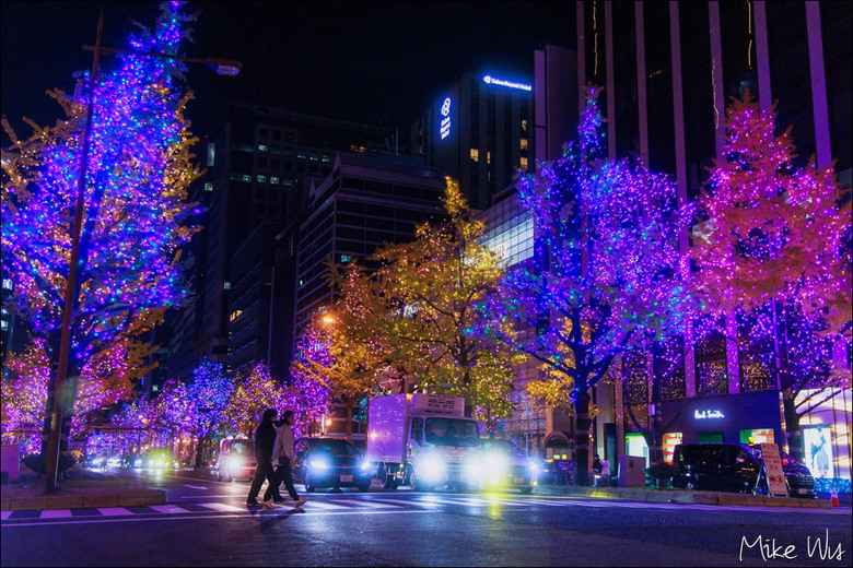 大阪賞楓自由行心得｜看見城市的秋日色彩與夜景交織的光影